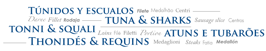 túnidos y escualos, tuna and sharks, tonni and squali, atuns e tubaroes, thonides e requins